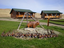 A photo of the chalets and a days limit of pheasants for the guys.